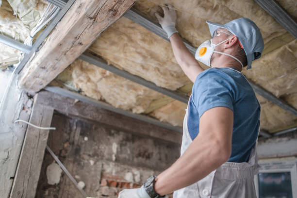 Best DIY Insulation Kits and Guidance in Stony Point, MI