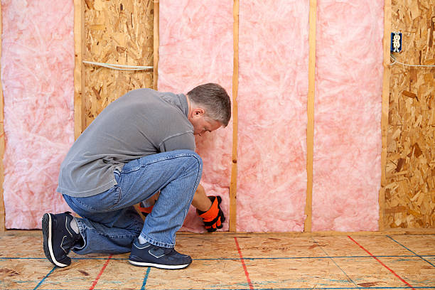 Best Fiberglass Insulation in Stony Point, MI